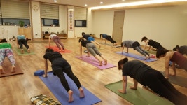 프라나요가