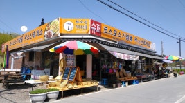 코스모스기념품