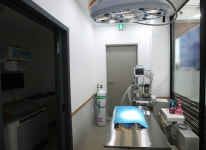 미사늘봄동물병원