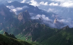 낙산풍경펜션