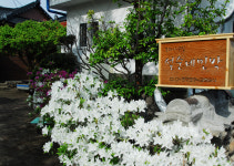 설순네민박