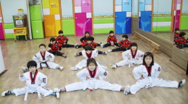 한국체대천지태권도장