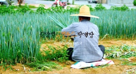 문양역로컬푸드직매장
