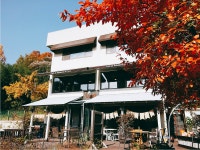 논실커피로스터스