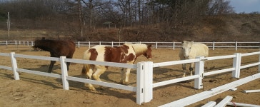 충주홀스팜랜드