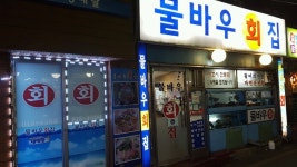 물바우횟집