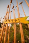 농다리은행나무집