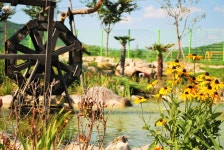 포항송라요양병원