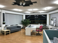 지트리메디케어