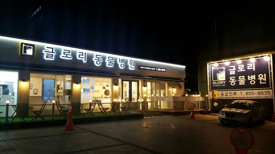 24시 글로리 동물병원