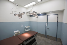 24시 글로리 동물병원