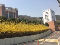 성결대학교신학대학