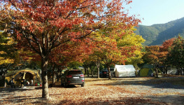 운문사계절 카라반펜션오토캠핑장