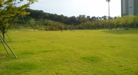 광교둥지공인중개사사무소