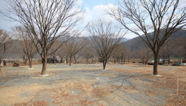 운문사계절 카라반펜션오토캠핑장
