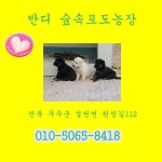 반디숲속포도농장