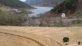 산들자작나무농장