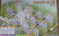 금성공인중개사사무소