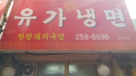 유가냉면