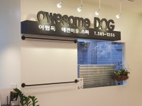 어썸독