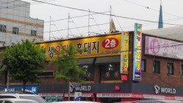 배부른생오리