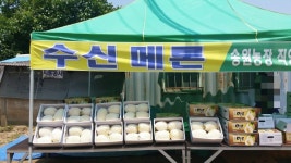 송원농장