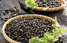 나로인별빛펜션