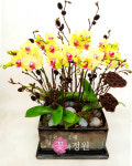 소예 꽃과정원