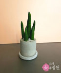 소예 꽃과정원
