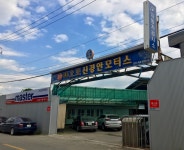 신경안모터스