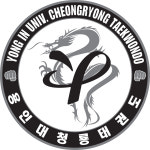 용인대청룡태권도