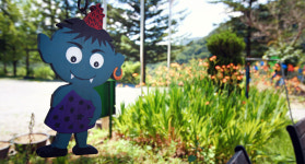 청옥산깨비마을야영장