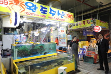 완도수산