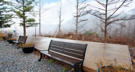 청옥산깨비마을 카라반&오토캠핑장