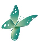 누리로하늘애상조