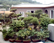 우이도 우림장 민박