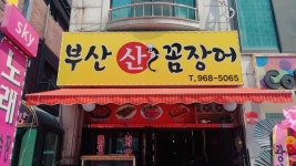 부산산꼼장어