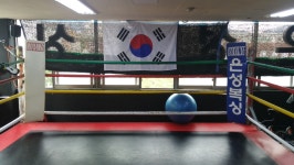 은성복싱체육관 쌍문역점