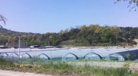 큰그림농장