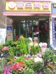 팔도화원