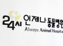 24시 언제나동물병원