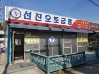 선진오토금융