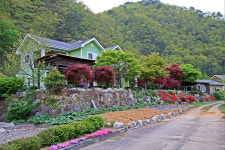 산골여행펜션