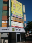 테라헤어