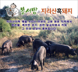 봉서방지리산흑돼지