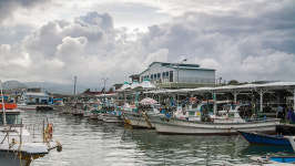 송지호바다펜션