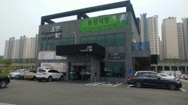 카페도뜰