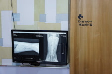 파스텔LC동물병원