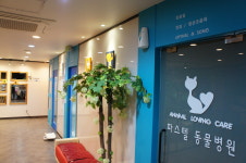 파스텔LC동물병원