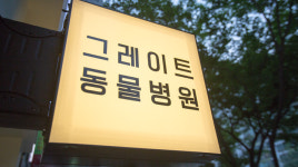 그레이트 동물병원
